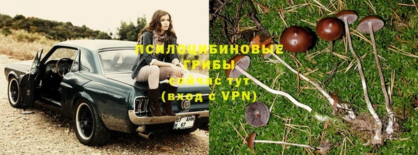 не бодяженный Аркадак