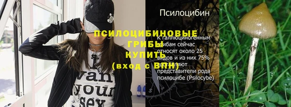не бодяженный Аркадак